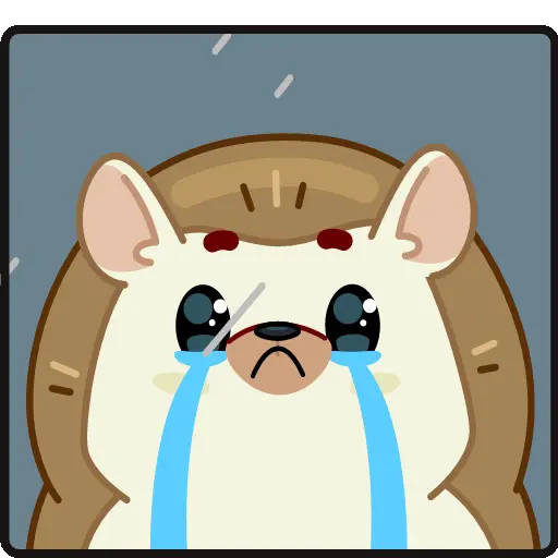 Pequeño erizo cute 🦔 14