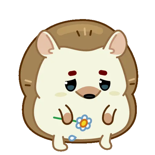 Pequeño erizo cute 🦔 1