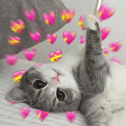Michis _plantillas🐾🐱💕