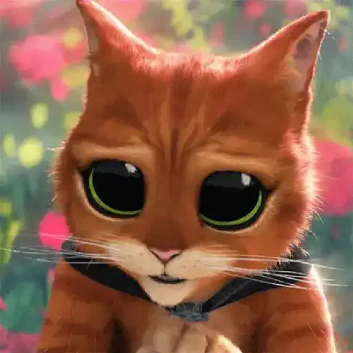 Gato de botas 😼 3