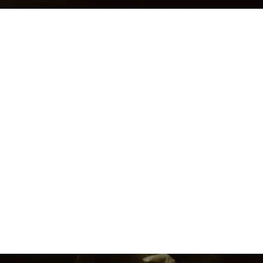 Cavaleiro da lua 1