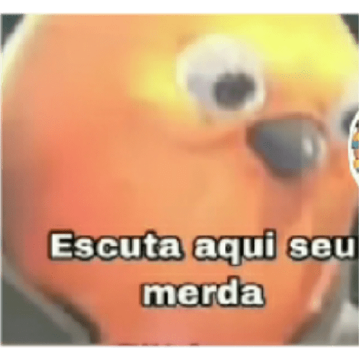 Memes 10