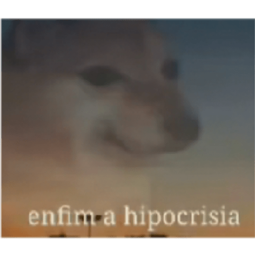 Memes 11