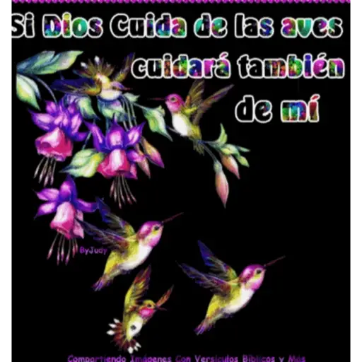 Changos 13