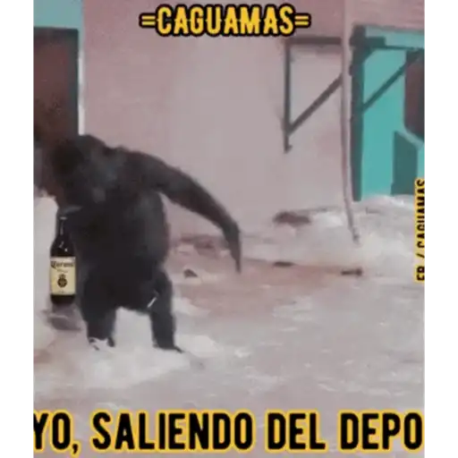 Changos 4