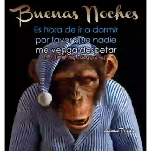 Changos 5