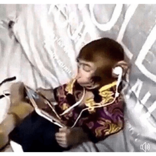 Macaquinhoos 11