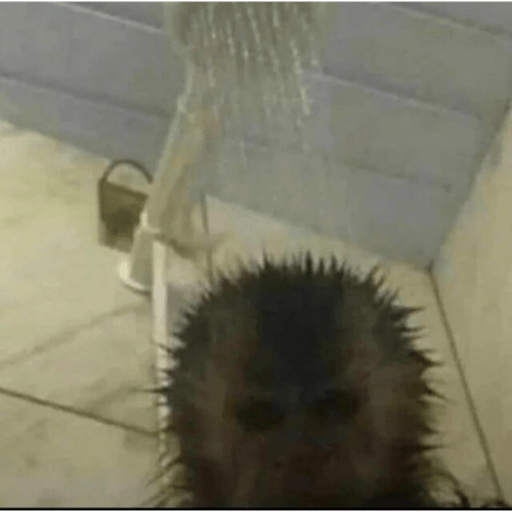 Macaquinhoos 9