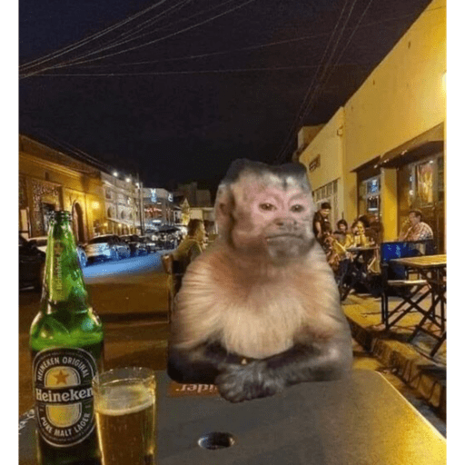 Macaquinhoos 14