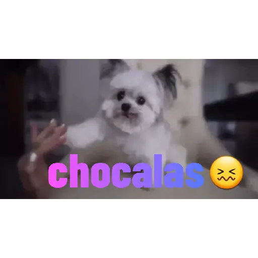 💩💩💩 6