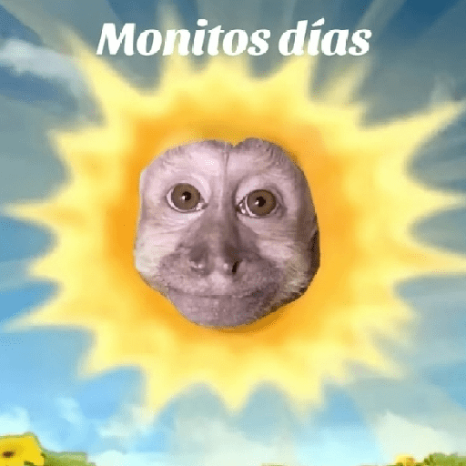 Monitos 1