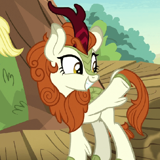Autumn Blaze 23