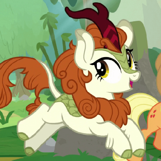 Autumn Blaze 27