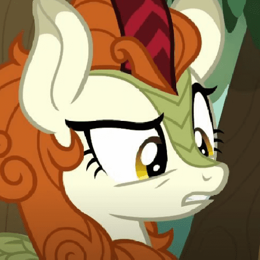 Autumn Blaze 5