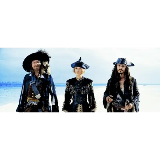 Pirati dei Caraibi  23