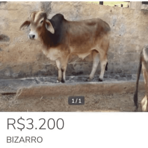 Lixo 4 2