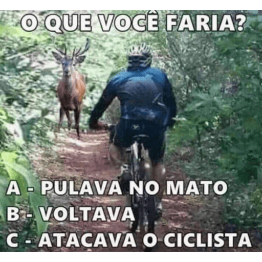 Lixo 4 1