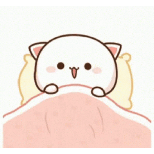 Cutie cat