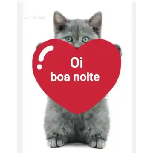 Boa noite 🌠 9