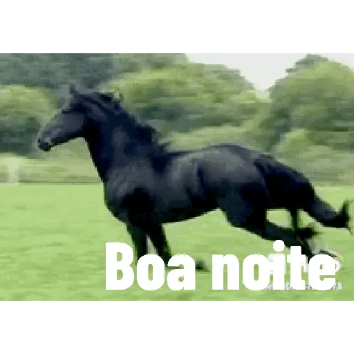 Boa noite 🌠 24