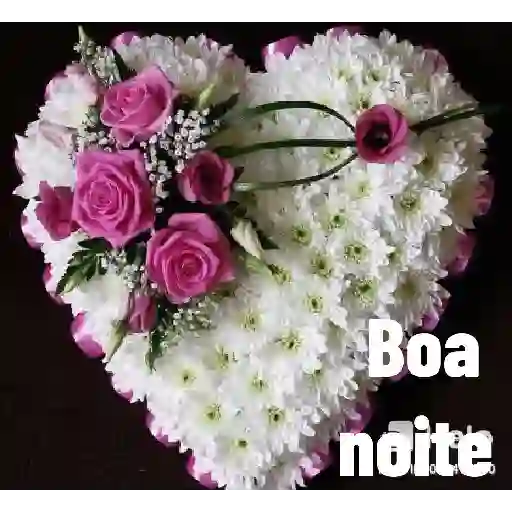 Boa noite 🌠 17