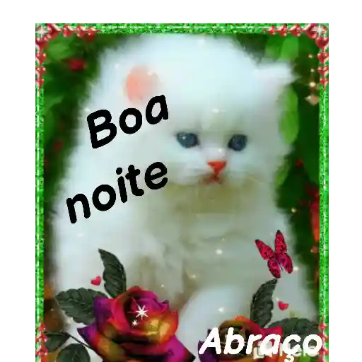 Boa noite 🙏🙏 17