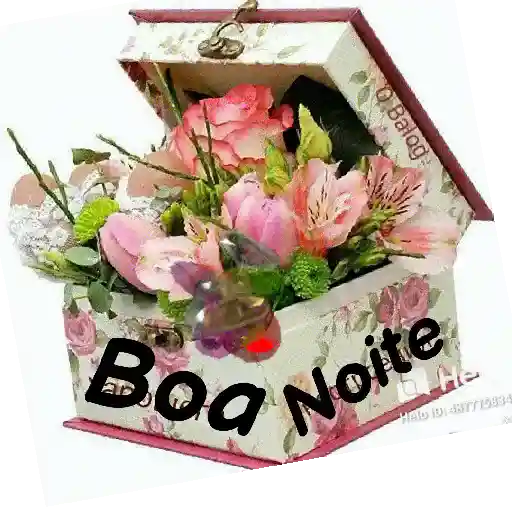 Boa noite 🙏🙏 2