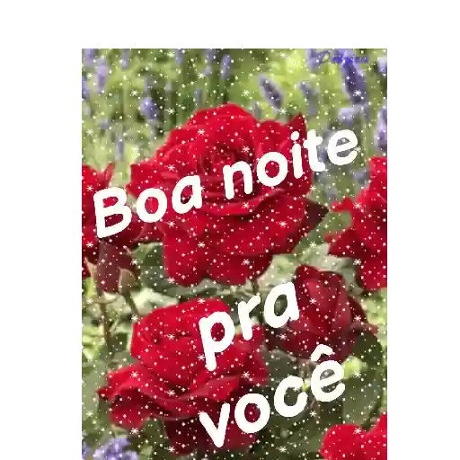 Boa noite 🙏🙏