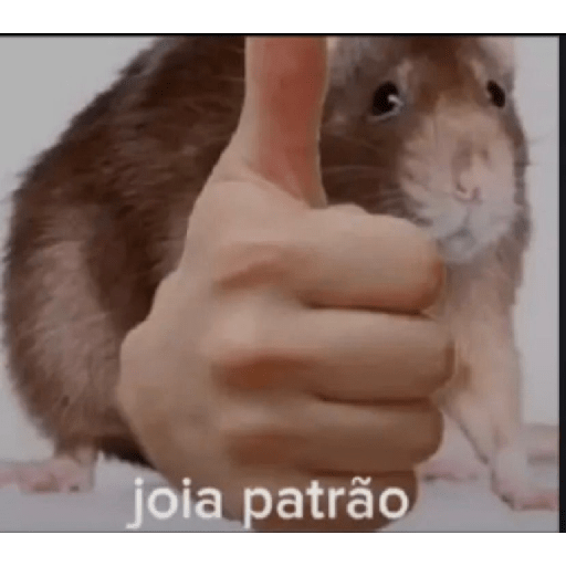 Jsjsjs 6