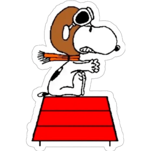 Snoopy 21