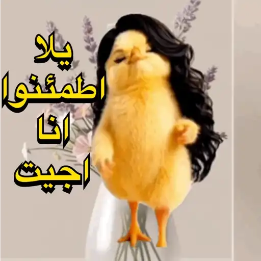 ننـ.و 20