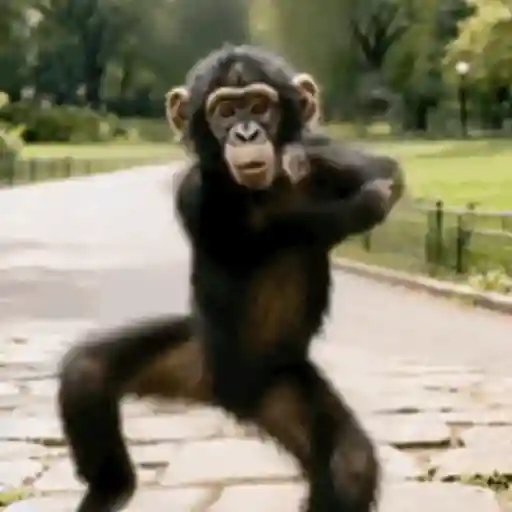 Monito Bailando🎶✨🐒 8