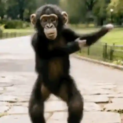 Monito Bailando🎶✨🐒 7