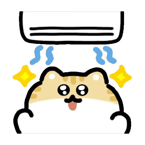 Summer Cat 🌞⛱️🌈🐱 4
