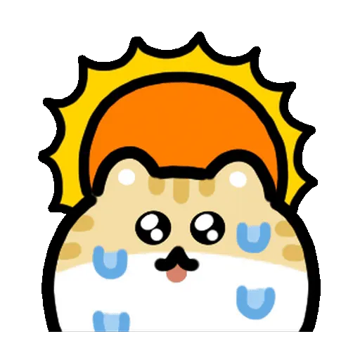 Summer Cat 🌞⛱️🌈🐱 5