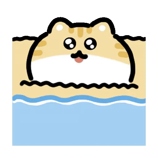 Summer Cat 🌞⛱️🌈🐱 6