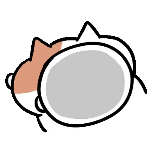 Chubby Cat ✨🐾 11