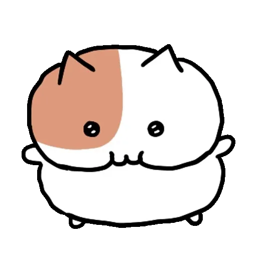 Chubby Cat ✨🐾 6
