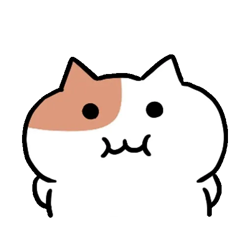 Chubby Cat ✨🐾 5