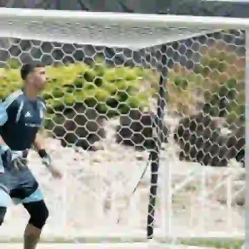 Argentina para la FINAL🇦🇷⚽️ 14