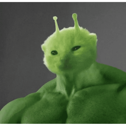 Alien Gato Meme 🛸👽🐱 2