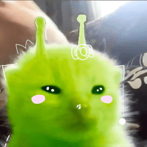 Alien Gato Meme 🛸👽🐱 8