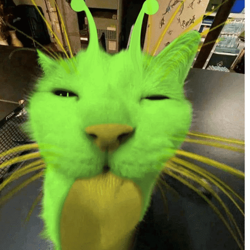 Alien Gato Meme 🛸👽🐱 4