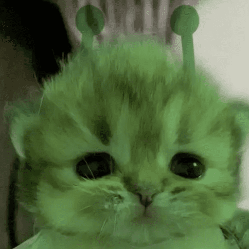 Alien Gato Meme 🛸👽🐱 16