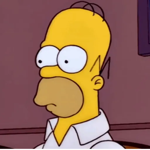Homero Simpson ✨