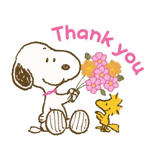 THANK YOU Mixed ✨ 4
