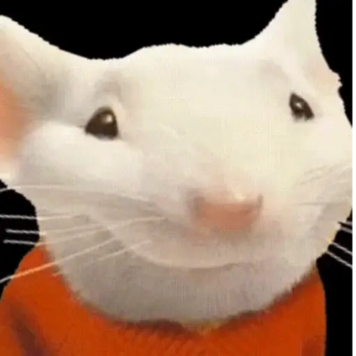 Stuart Little ✨🎬🐭