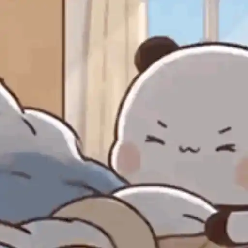 Bubu & Dudu 🐾♥️🌈 8