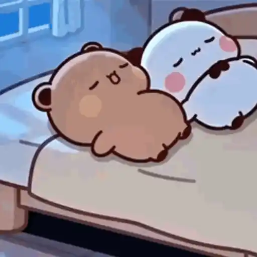 Bubu & Dudu 🐾♥️🌈 3