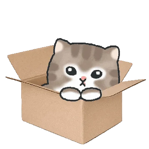 Un Gatito Adorable 🐾✨🐈‍⬛